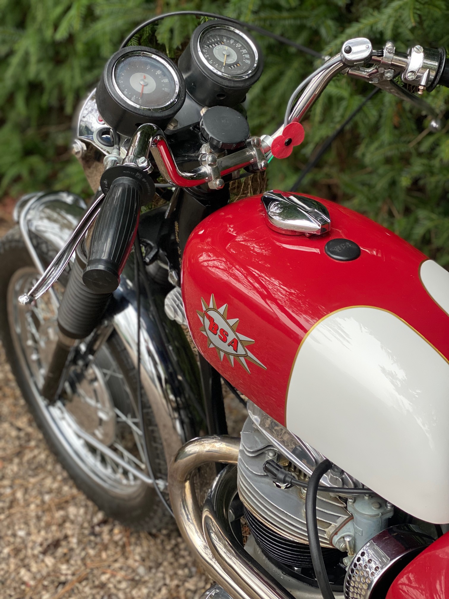 BSA Firebird Scrambler 1968